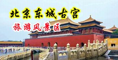 色色性操操中国北京-东城古宫旅游风景区